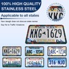 Retro Ocean Wave License Plate Frame - Unobstructed Narrow-Edge 2