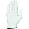 Casco DNA SUEDE SF-2010R Golf Gloves, Synthetic Leather, Right Handed