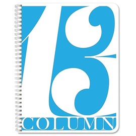 BookFactory 13 Column Log Book/Columnar Logbook/Notebook (13 Thirteen) Columns Columnar Book Format - 100 Pages, 8.5'' x 11'', Wire-O (COL-100-7CW-PP(Column-13) -LX)