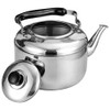 HOLIDYOYO Stainless Steel Whistling Tea Kettle for Stovetop Induction Compatible
