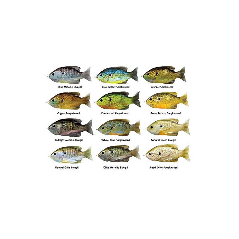 LIVE TARGET Hollow Body Sunfish, One Size, Blue / Yellow