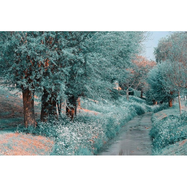 The Time Goes By Poster Print - Rainbow Fine Jenny