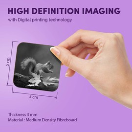 1 x Square MDF Fridge Magnet - Cute Cheeky Squirrel Wildlife 40810