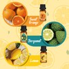SALKING Citrus Burst Essential Oil Set, Premium Fragrance Oil for