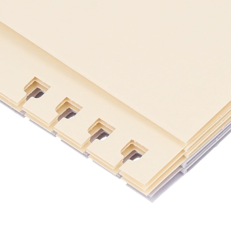 DELFONICS (デルフォニックス) 【Traveling Rollbahn】Rollbahn Flexible Refill Binder L (A (Cream,