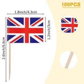 BQTBQT Europe Countries Mini Toothpick Flags Decorations Party Theme, Countries Cupcake Toppers Cocktail Food Flags Decor（88 Pcs）