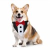 Medium Dog Tuxedo, Tux Suit Dog Wedding Outfit Bandana with