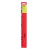 Herlitz Ruler Plastic Transparent (Set of 4 - Ruler 16