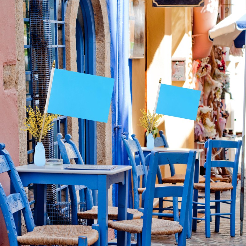 WEITBF 12Pcs 8×12 Inch Solid Light Blue Flags Small Blank