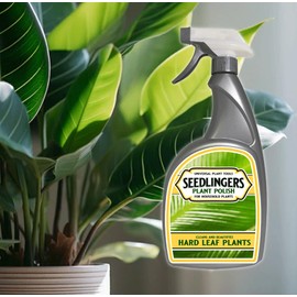 Messinas Seedlingers Plant Polish 32oz Trigger Bottle