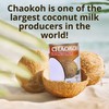 Chaokoh Coconut Milk 24 Pack - Creamy Non Dairy Milk,