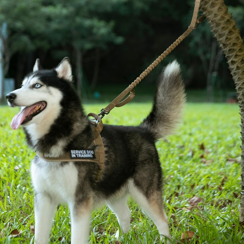 EXCELLENT ELITE SPANKER Tactical Bungee Dog Leash Military Adjustable Dog