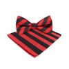 Vittorio Farina Striped Bow Tie & Pocket Square Set (1548