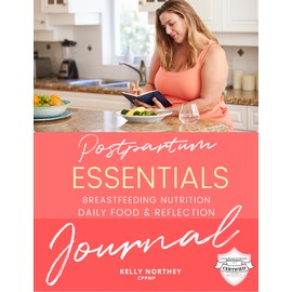 Postpartum Essentials Breastfeeding Nutrition Daily Food Reflection Journal