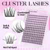 WENDY DIY D Curl Lash Clusters Individual Cluster Lashes Kit