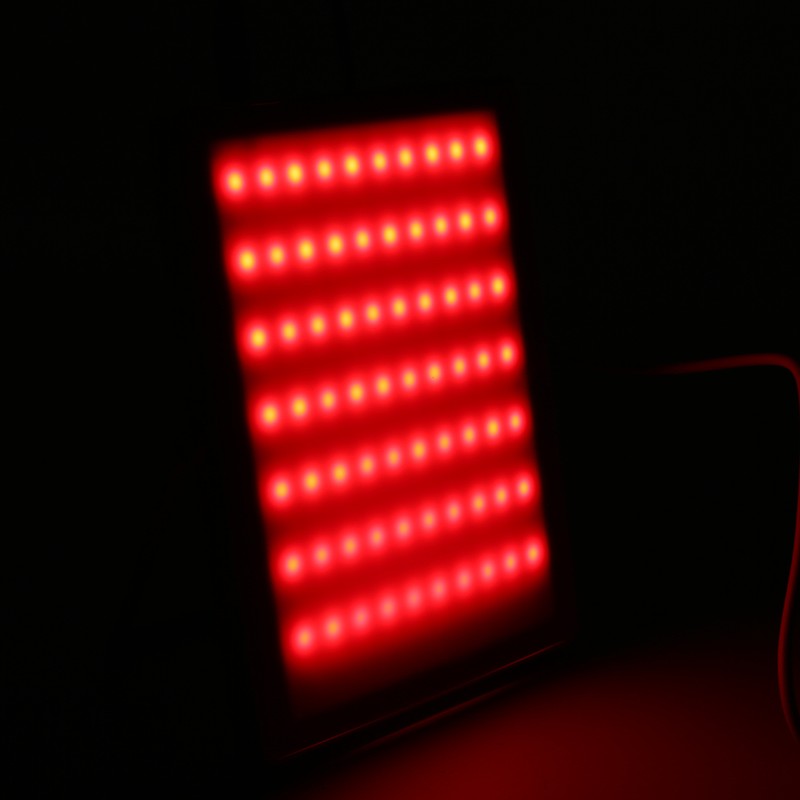 Photon Skin Rejuvenation Machine Red Blue Light Therapy Acne Removal