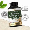 Daitea KSM-66 Ashwagandha 1200MG Maximum Strength 120 Capsules-- Omnipotent Nutrition