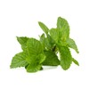 Pure Peppermint Oil Extract - TTB-Approved for Brewing - Water