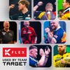 TARGET Darts Scott Williams K Flex Flights and Shaft System,