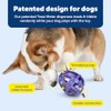 petsafe Busy Buddy Kibble Nibble Meal Dispensing Dog Toy, Small