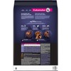 Eukanuba Eukanuba Dry Large Breed Puppy Food, Dry Dog Food