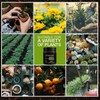 Soil Activators, Organic Soil Activator & Plant Fertilizer, Supports Root