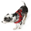 HUNTER RACING Norwegian harness for dogs, nylon, reflective, coat-friendly, 43-53