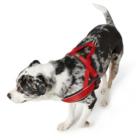 HUNTER RACING Norwegian harness for dogs, nylon, reflective, coat-friendly, 43-53 / S, red
