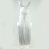 osseoca Gold Ship Cosplay Wig Silver gray with ears