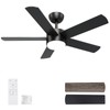 POCHFAN 42 inch Black Ceiling Fans with Lights and Remote