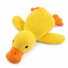 Squeaky Duck Plush Dog Toy for Interactive Play – Soft