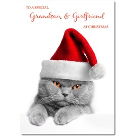 doodlecards Grandson and Girlfriend Christmas Card Grey Cat with Santa Hat Medium Size Christmas Card for Grandson & Girlfriend with Plain Envelope