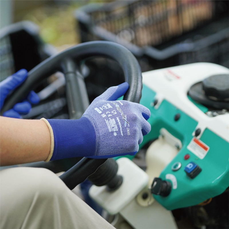 [Towa Corporation] MagneX 7/S Nitrile Backless Gloves / Food Sanitation