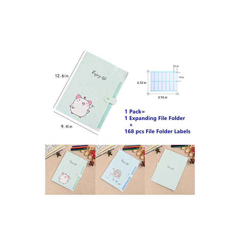 1 Pcs Cute Cartoon Plastic A4 Expanding File Folder Pockets