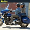 Adjustable Motorcycle Floorboards Rear Passenger Foot Pegs Footboard Pedals Compatible