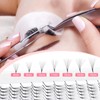12D Volume Eyelash Extensions M Curl 0.05 mm Mixed 8-14