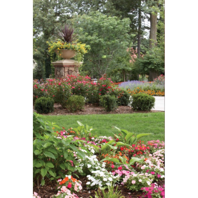 Rain Bird MANIF21PK Drip Irrigation 6-Port Manifold, 2 Gallon Per