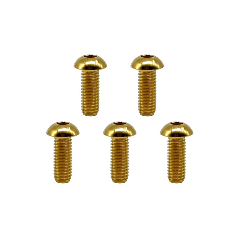 RISON Pack of 5 Titanium Rounded Head Screws with Hexagon