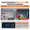 YeloDeer 12V DC Digital Refrigeration Thermostat with Automatic Defrost
