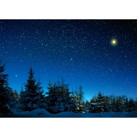 Fmarui Christmas Star Backdrop Winter Night Bethlehem Photography Background Nativity Christmas Party Decorations Photo Booth Props 7x5ft
