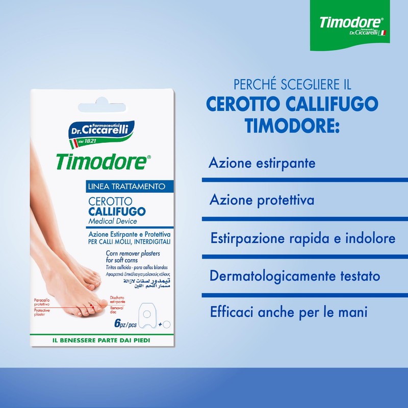 CALLIF CICCARELLI INTERDIG 6P