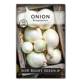 Sow Right Seeds - Ringmaster Onion Seeds for Planting - Non-GMO Heirloom Packet with Instructions to Plant a Home Vegetable Garden - Grow Sweet and Mild Long Day Onions - Kitchen Staple