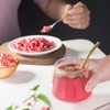 Choxila Pomegranate Deseeder Tool Stainless Steel Pomegranate Peeler Cutter Opener