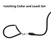 Aiminto Dog Leash, Braided Rope Traction – Walking Training Lead