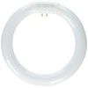 TCP 3201831K 18-watt Circle T6 Lamp, 3100-Kelvin