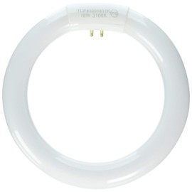 TCP 3201831K 18-watt Circle T6 Lamp, 3100-Kelvin
