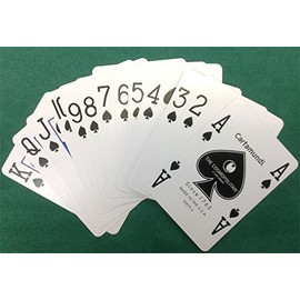 Casino Playing Cards - Cosmopolitan Casino 2 Decks Las Vegas Nevada New Sealed