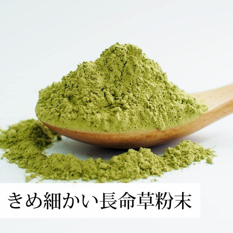 自然健康社 長命草粉末 100g 青汁 パウダー サプリ お茶