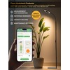 GLOWRIUM Grow Lights for Indoor Plants, 24W Full Spectrum LED