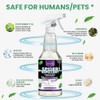 Peppermint Oil Insect & Spider Repellent Spray - All-Natural, Pet-Safe